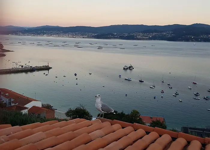 Ferienhaus - Playa Areas *